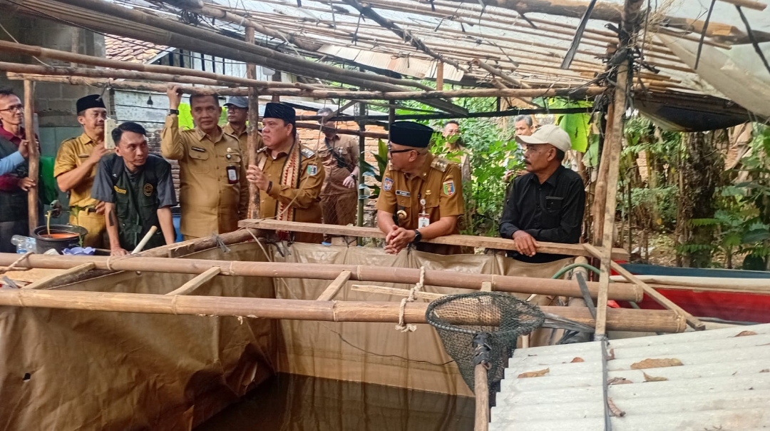 Tak Hanya ke Tanaman, PHC Dinilai Manjur untuk Budidaya Ikan Lele