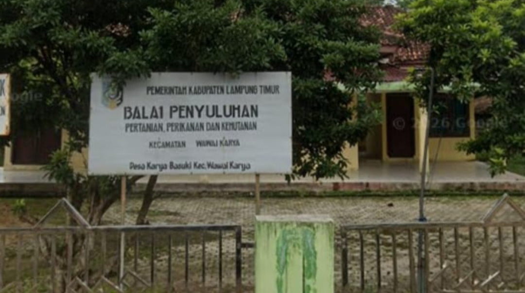 Dua Bulan Pupuk Subsidi Langka Petani Waway Karya Menjerit UPTD Bungkam