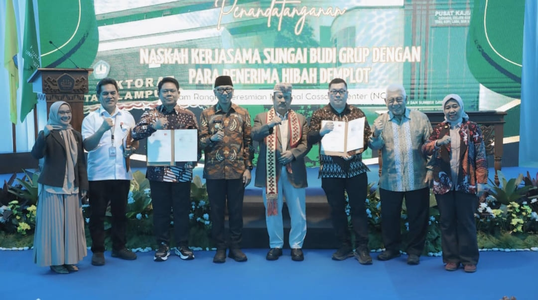 Lampung Mantapkan Langkah Jadi Sentra Pengembangan Singkong Nasional, Dongkrak Produktivitas dan Kesejahteraan Petani Singkong