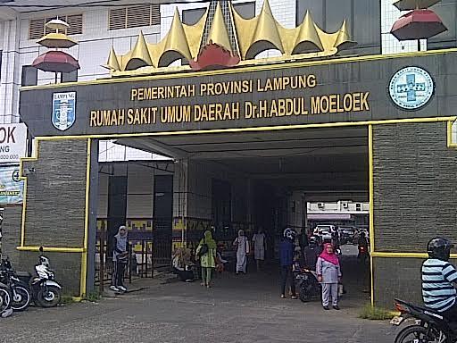 BPK Temukan “Foya-Foya” Anggaran Rp950 Juta pada Pengadaan Genset RSUDAM Lampung