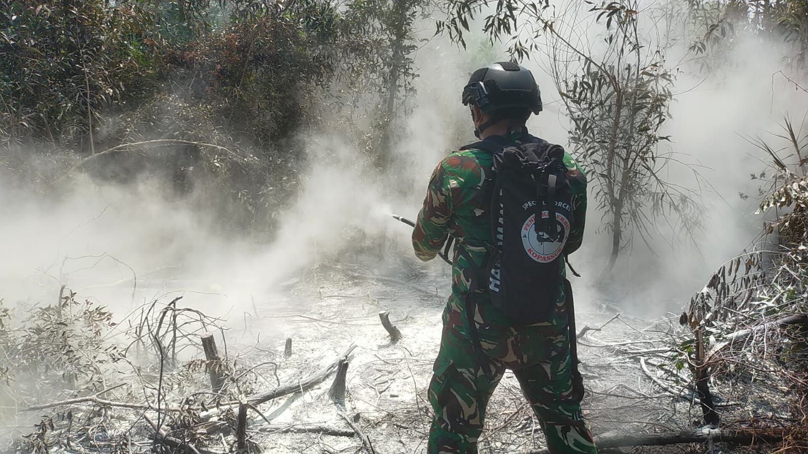 Mengenal Tim Alfa TNI: Pasukan Lintas Udara yang Diterjunkan Padamkan Karhutla di Way Kambas