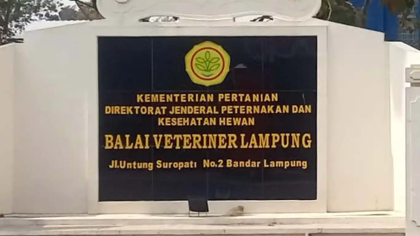 Skandal Balai Veteriner Lampung: Anggaran APBN Rp9,39 Miliar Diduga Dikuasai Duo Vendor dan Proyek Kandang Ayam Rp70 Juta per Unit