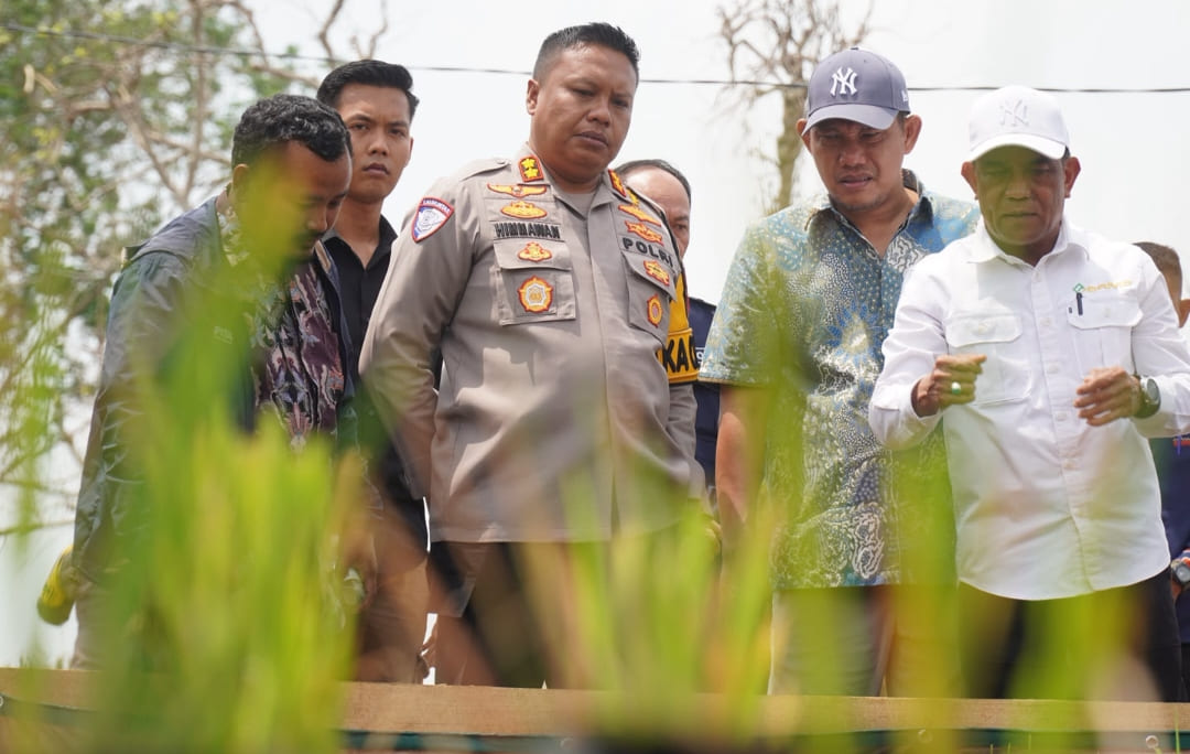 Wakil Bupati Tubaba Terima Audiensi BRMP Sistem Bahas Program ICARE dan Pengembangan Pertanian