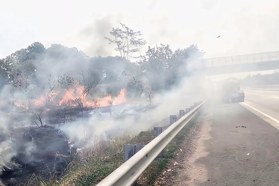 Kebakaran Lahan Seluas 1 Hektare Landa Tol Km 86 Lampung Selatan, Publik Soroti Sikap Pengelola Tol Sibuk Pencitraan?