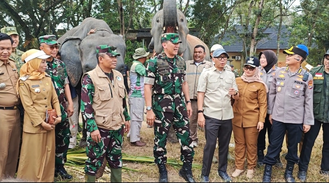 Kunjungi Taman Nasional Way Kambas, Gubernur dan Pangdam Pastikan Gajah Tidak Terdampak Kebakaran