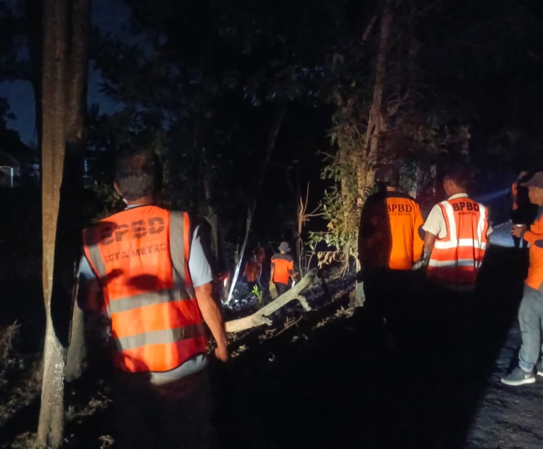 Pohon Tumbang di Tejo Agung, Wali Kota Metro Gerak Cepat Kerahkan BPBD