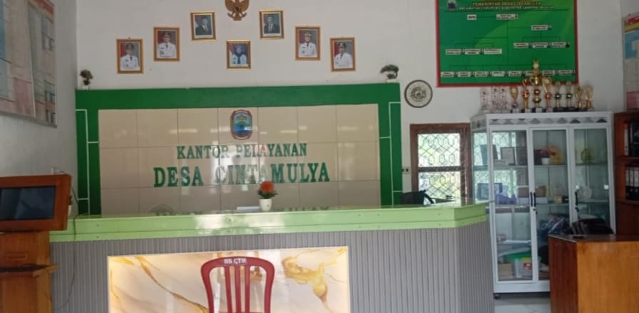 Dwi Haryani, Kades Cinta Mulya Merangkap Guru SMA?
