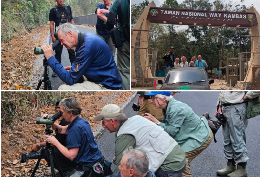 Wajah Baru Ekowisata TNWK: Padukan Konservasi Avifauna, UMKM Desa, dan Mitigasi Interaksi Gajah