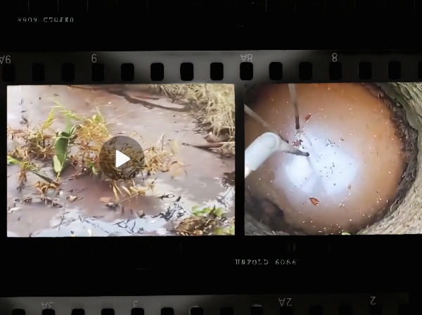 Diduga Tercemar Limbah PT Indo Thai Coco, Puluhan Sumur Warga Tarahan Menguning dan Berbau Busuk