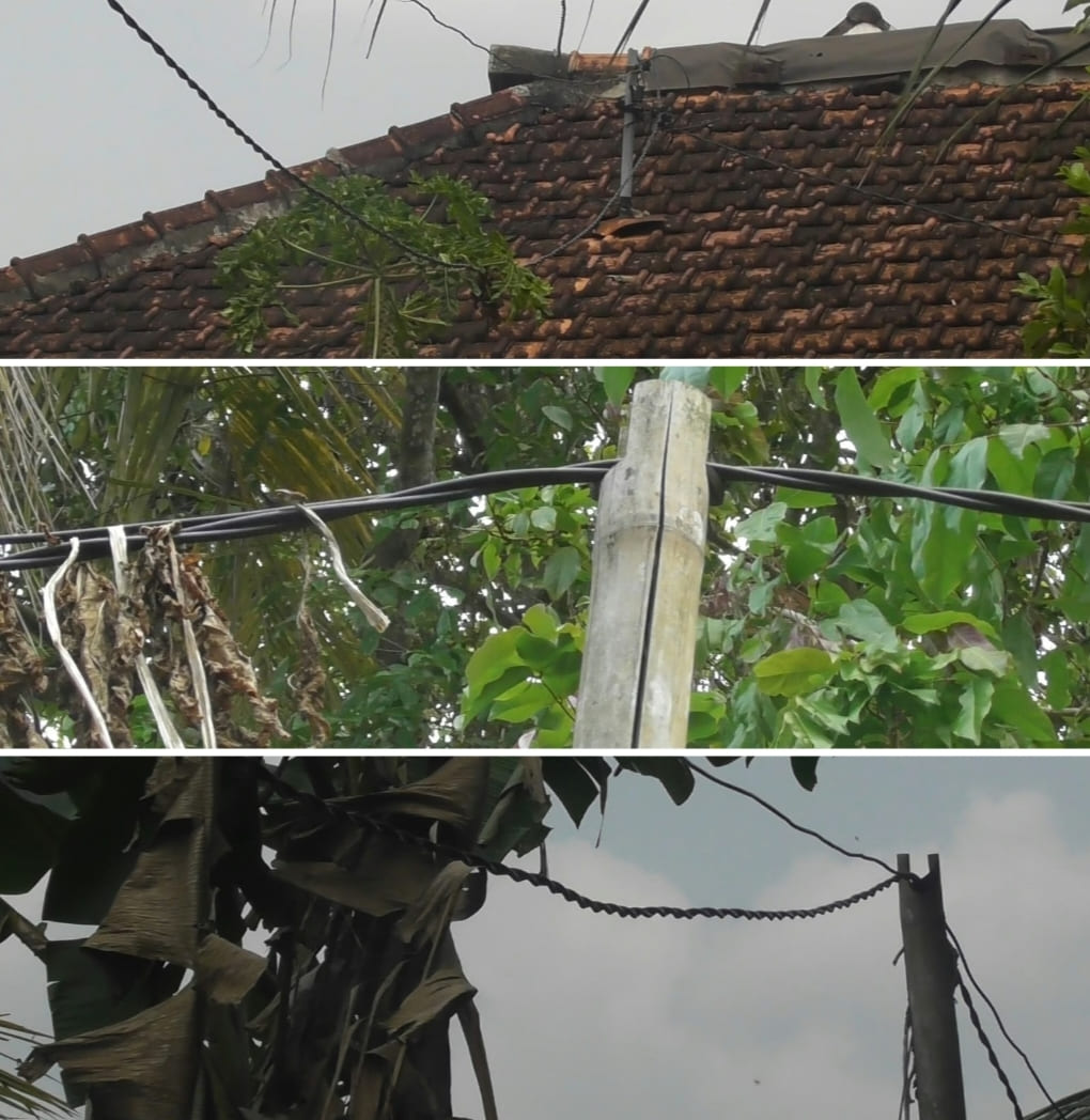 Puluhan Tahun Warga Braja Dewa Lampung Timur Masih Andalkan Kabel Darurat dan Tiang Bambu