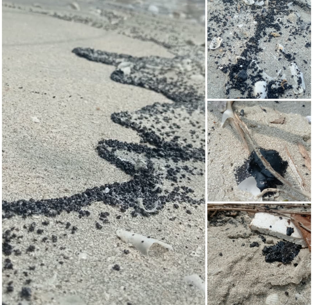Pesisir Lampung Timur Diduga Tercemar Limbah Misterius, Nelayan: Jaring Rusak, Utang Menumpuk
