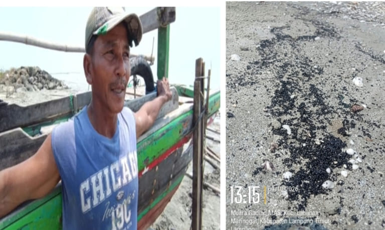 Limbah Hitam Cemari Pesisir Lampung Timur, Penghasilan Nelayan Anjlok hingga 60 Persen