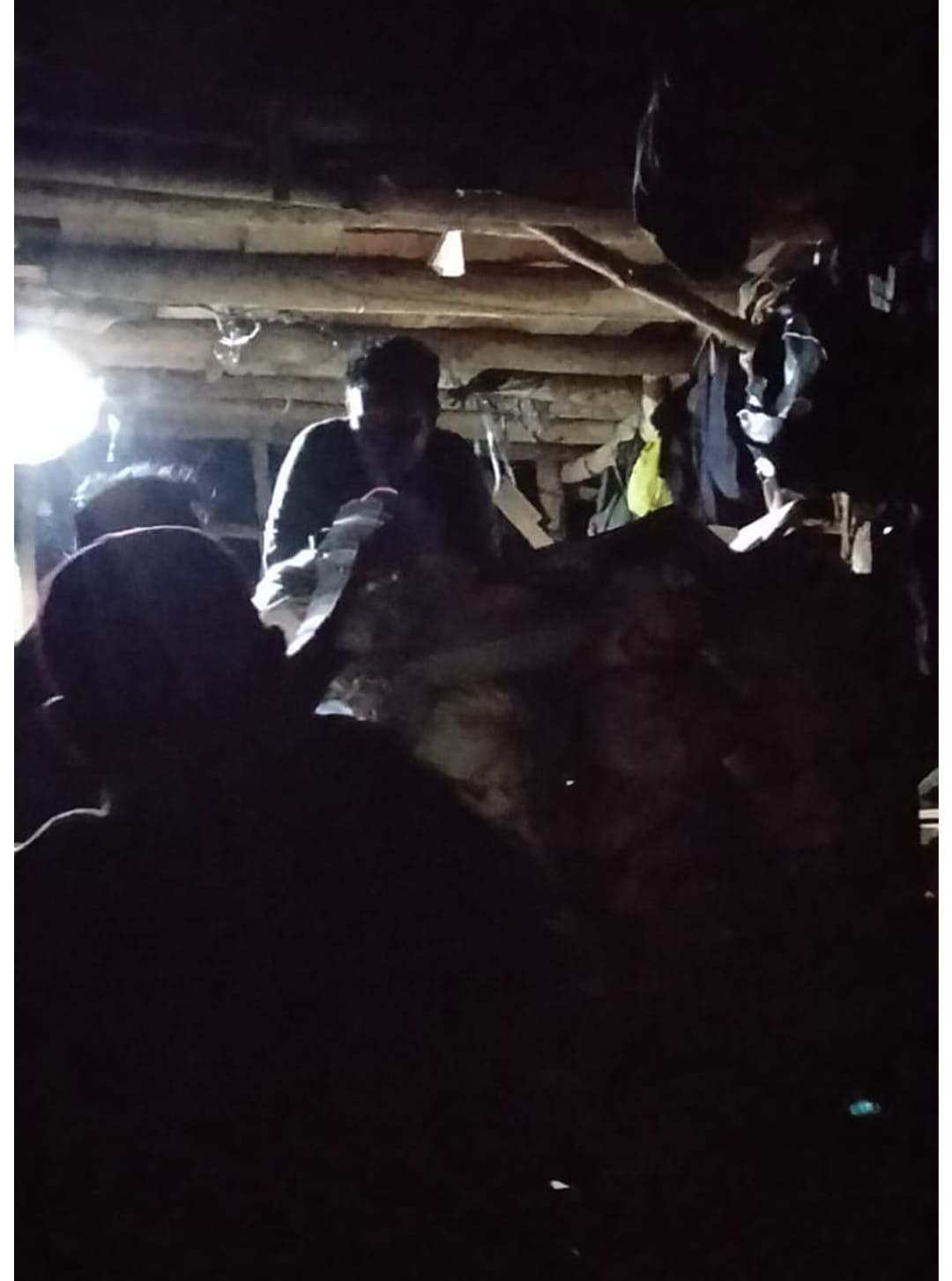 LSM Penjara Minta Kapolda Lampung Telusuri Dugaan Tambang Ilegal di Kawasan Hutan Babakan Loa