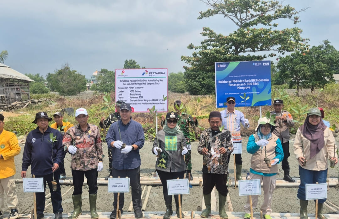 PHE OSES Perkuat Kolaborasi Pelestarian Ekosistem Mangrove Pesisir Lampung Timur