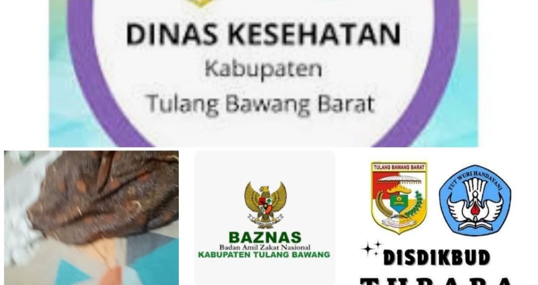 Dimas Berjuang 9 Bulan Melawan Penyakit hingga Meninggal, Keluarga Kecewa Tak Ada Pejabat Tubaba yang Menjenguk
