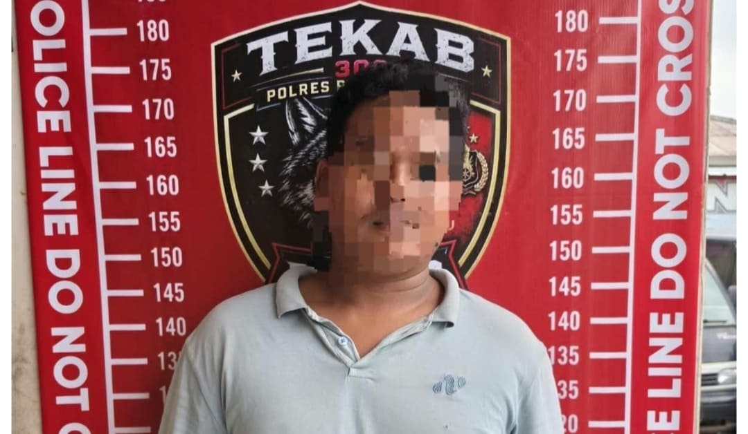 Agar Turun Harga, Pemuda di Pesisir Barat Nekat Racuni Sapi Tetangga Sebelum Dibeli
