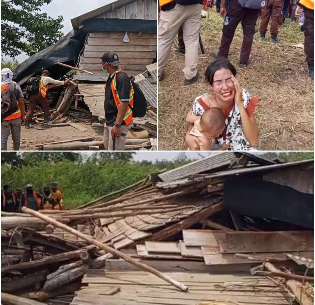 Tanpa Empati, Pam Swakarsa PT ILP Tetap Robohkan Gubuk Warga Meski Dihalangi Ibu Gendong Balita