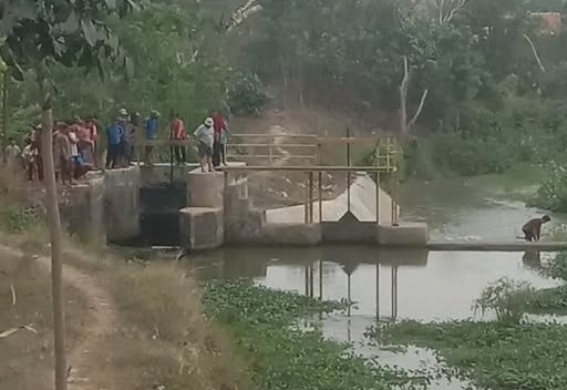 Tiga Bocah Tewas Tenggelam di Bendungan Widoro Payung Pringsewu