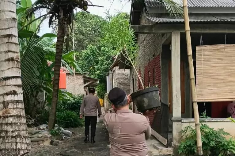 Warga Tarahan Lampung Selatan Digegegerkan Penemuan Pohon Diduga Ganja di Ladang, Polisi Gelar Penyelidikan
