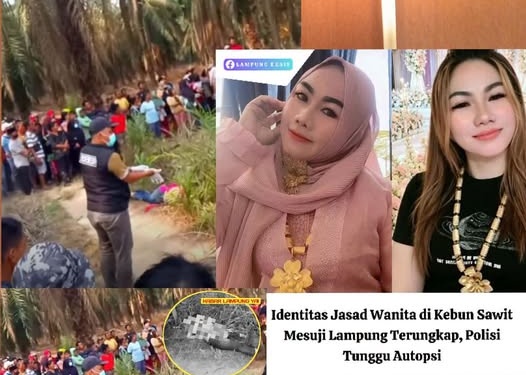 Sesosok Mayat Wanita Berpakaian Modis Ditemukan di Kebun Sawit Mesuji, Polisi Tunggu Hasil Autopsi RS Bhayangkara