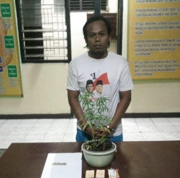 Ketahuan Tanam Ganja, Warga Purwodadi Diamankan Polisi