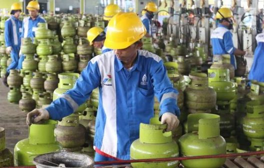 Disdag Lampura Monitoring Gas Melon