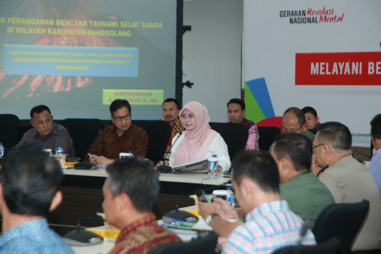 Rakor Di Kemen PMK, Bupati Irna Sampaikan Kebutuhan Masa Transisi Darurat Kepemulihan