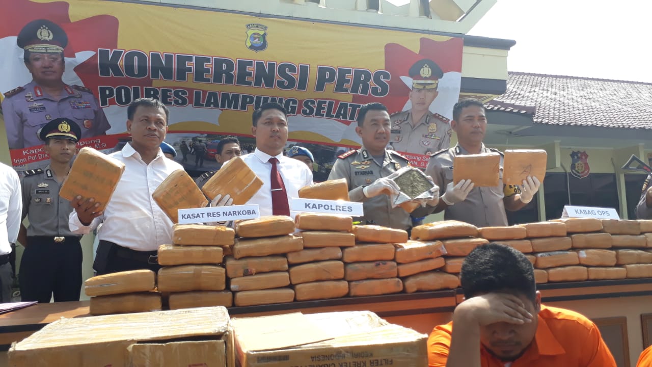 Polres Lamsel Berhasil Amankan 92 kg Ganja