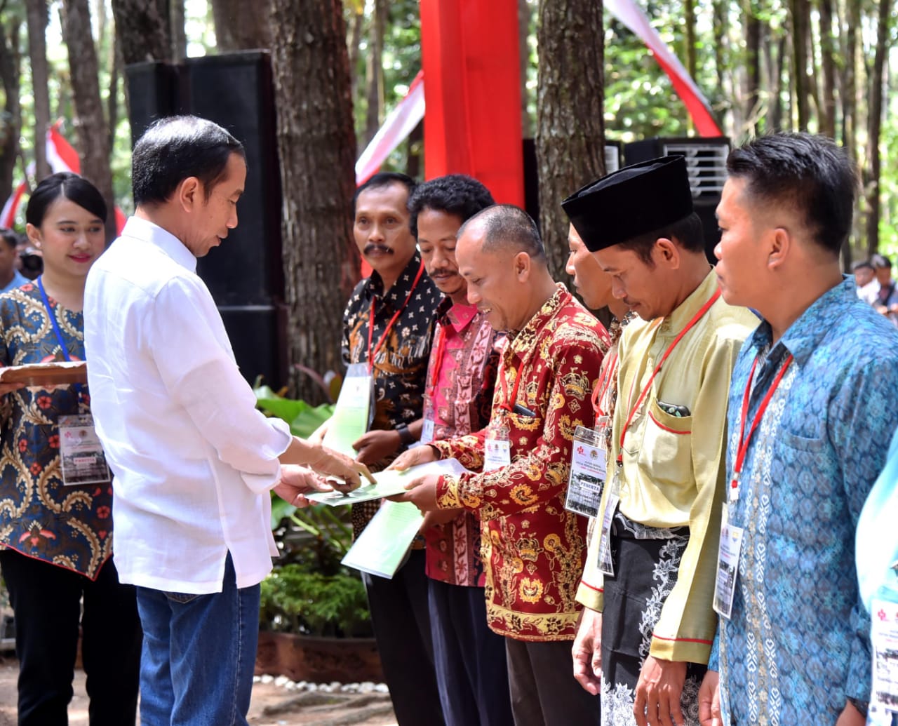 Presiden Serahkan SK Perhutanan Sosial Seluas 91 Ribu Hektare di Jambi