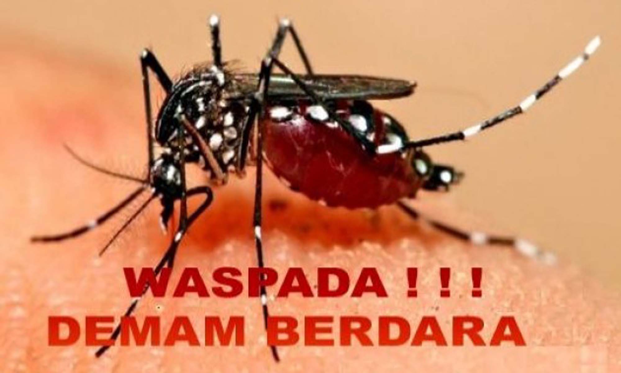 Kemenkes Imbau Seluruh Daerah Waspada DBD