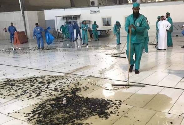 Ribuan Hewan Cengkerik Serbu Kota Mekah