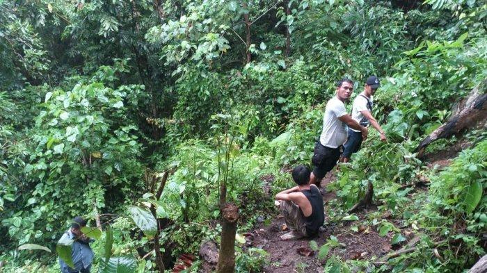 Polisi Tempuh Tiga Jam Perjalanan Untuk Temukan Ladang Ganja di Tanggamus