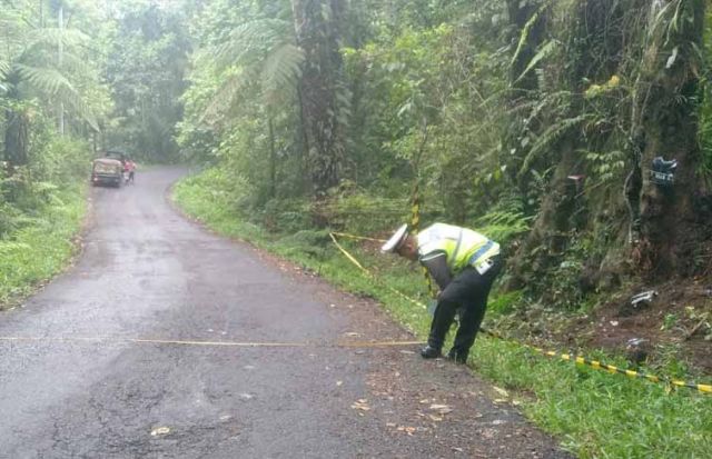 Dua Pelajar Asal Jember Tewas Seketika Usai Motor yang Dikendarainya Menghantam Pohon