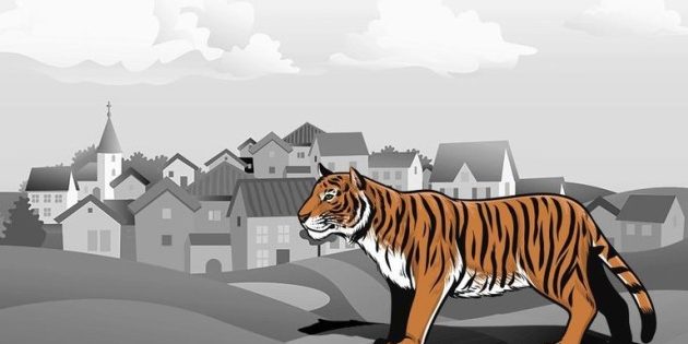 Warga Pekon Wayharu Diduga Tewas Akibat Serangan Hewan Buas