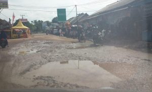 Pembangunan Jalan Sukadamai Arah Metro Seumur Jagung