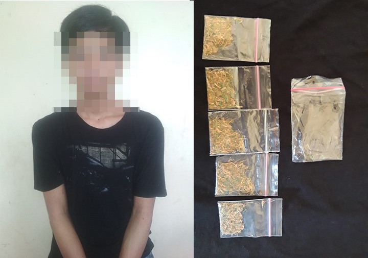 Miliki Tembakau Jenis Gorila, WJ Ditangkap Satnarkoba Polres Lebak