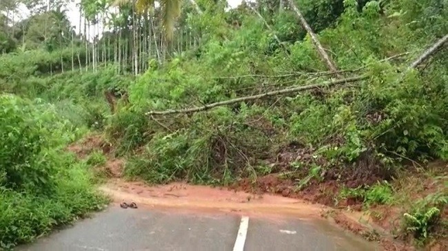 Jalan Lintas Tengah Sumatera Lumpuh Total Akibat Longsor