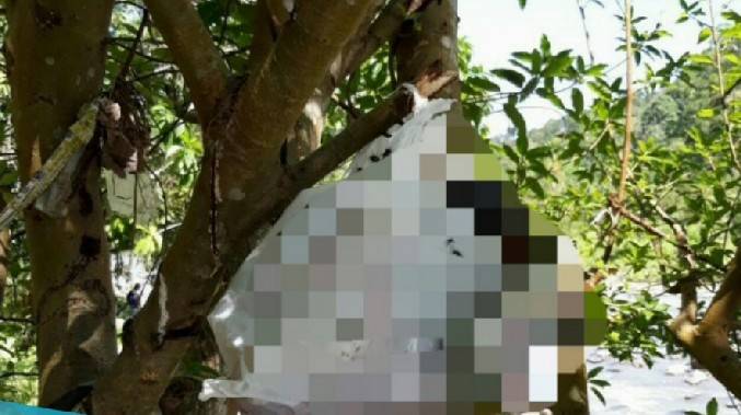 Warga Digegerkan Dengan Penemuan Mayat Bayi di Bendungan Waylaay