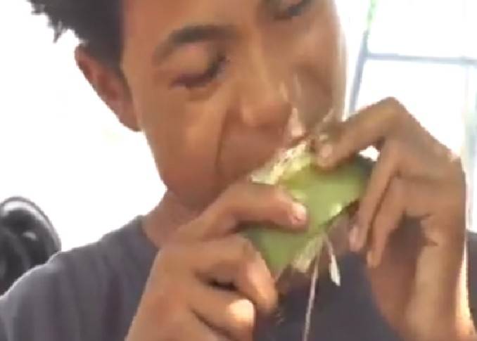 Belum Terima Bantuan, Warga Lombok Utara Korban Gempa Harus Makan Sabuk Kelapa Muda