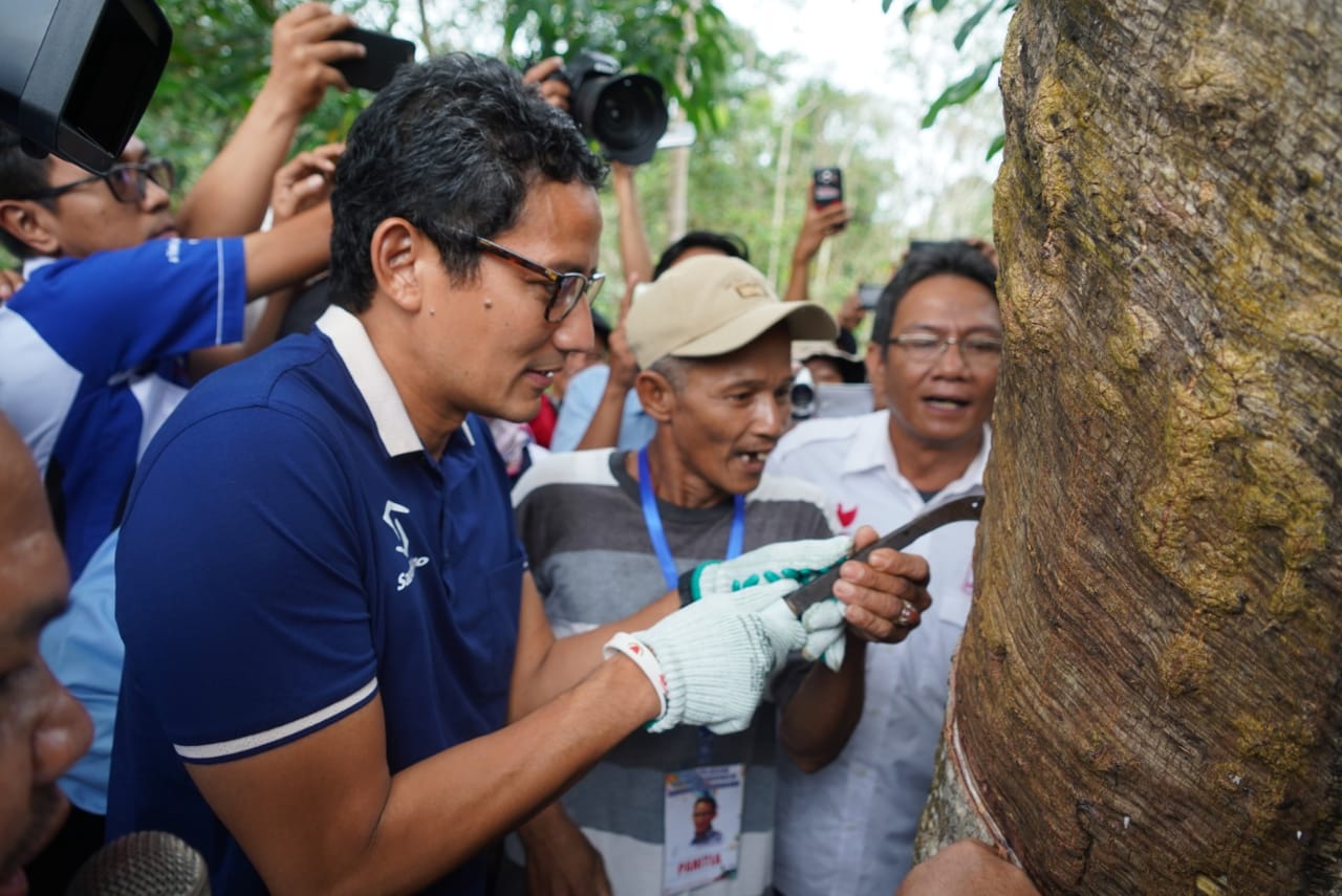 Sandiaga Uno Disambut Histeris oleh Para Petani Karet di Jambi