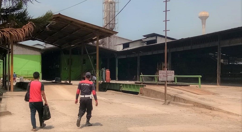 Tak Bisa Imbangi Harga Impor, Sejumlah Pabrik Tapioka di Lampung Hentikan Produksi