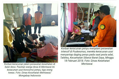 Puluhan Warga Keracunan Tiga Tewas Usai Santap Daging Penyu