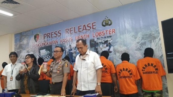Gudang Lobster Ilegal di Pesisir Barat Yang Digrebek Bareskrim Polri Milik Oknum Anggota DPRD Lampung Barat?