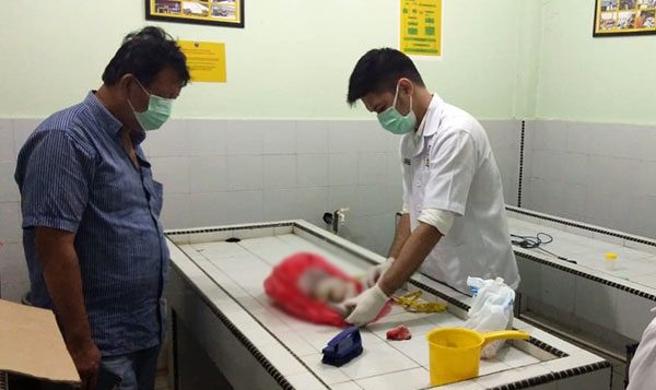 Warga Gedung Johor Temukan Bangkai Bayi
