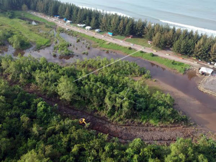 Pemkot Pariaman Resmi Hentikan Pembukaan Jalan di Kawasan Hutan Mangrove