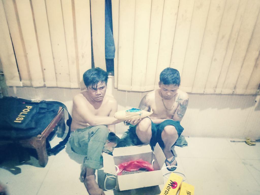 Anggota Koramil Amankan Dua Orang Pelaku Penyalahguna Ganja
