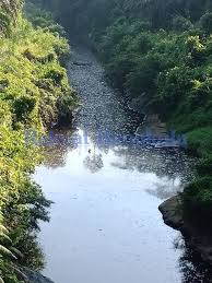 Sungai Mertam Berubah Warna, Diduga Akibat Limbah Sawit PT BSL