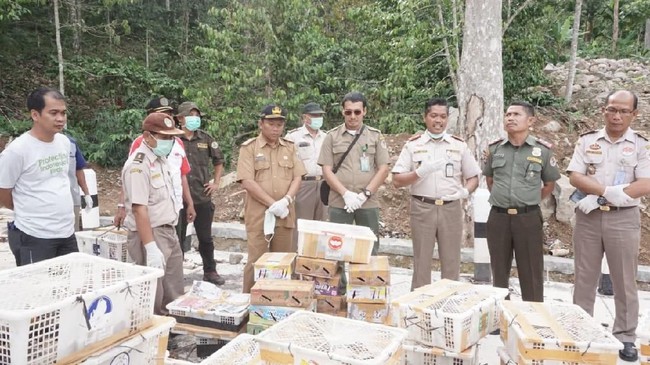 Balai Karantina Pertanian Lampung Gagalkan Penyelundupan Ribuan Burung