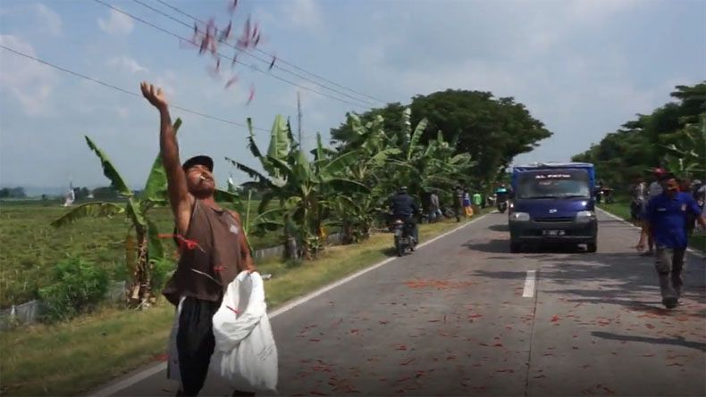 Harga Cabai Anjlok, Ratusan Petani Buang Cabai ke Jalan