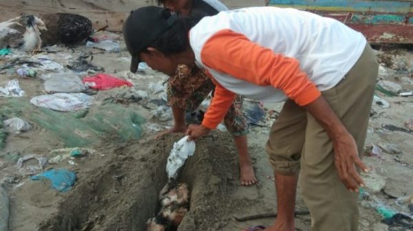 Bahaya, Orang Gila di Lempasing Bantai Puluhan Kucing